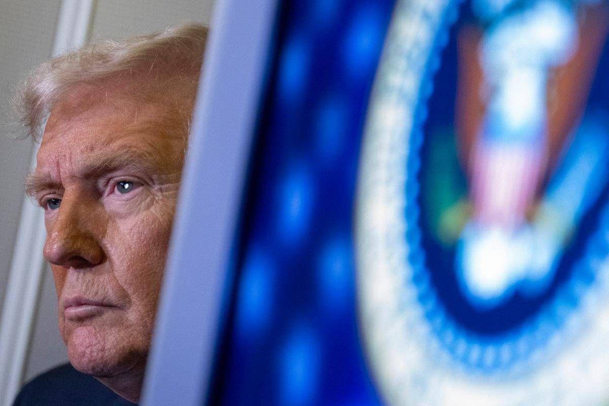 donald trump donald trump