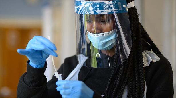 nuovo ceppo nuovo ceppo