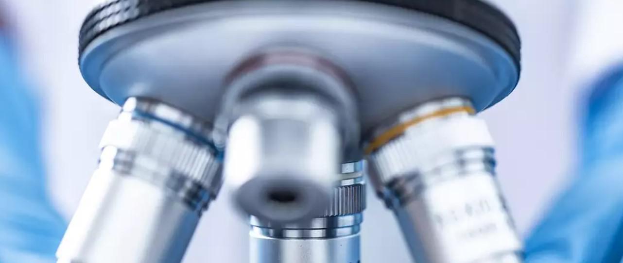 follistatin potential follistatin potential