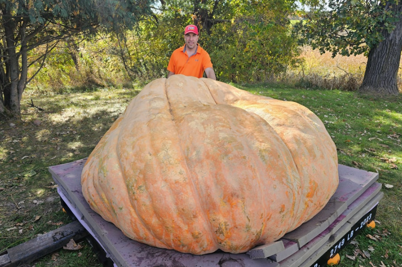 Rudy: la zucca più grande del mondo pesa oltre 1 tonnellata