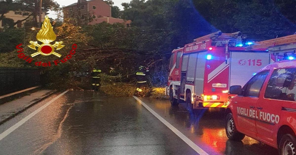 Maltempo in Liguria, cadono alberi e massi sull Aurelia: strada chiusa in due tratti