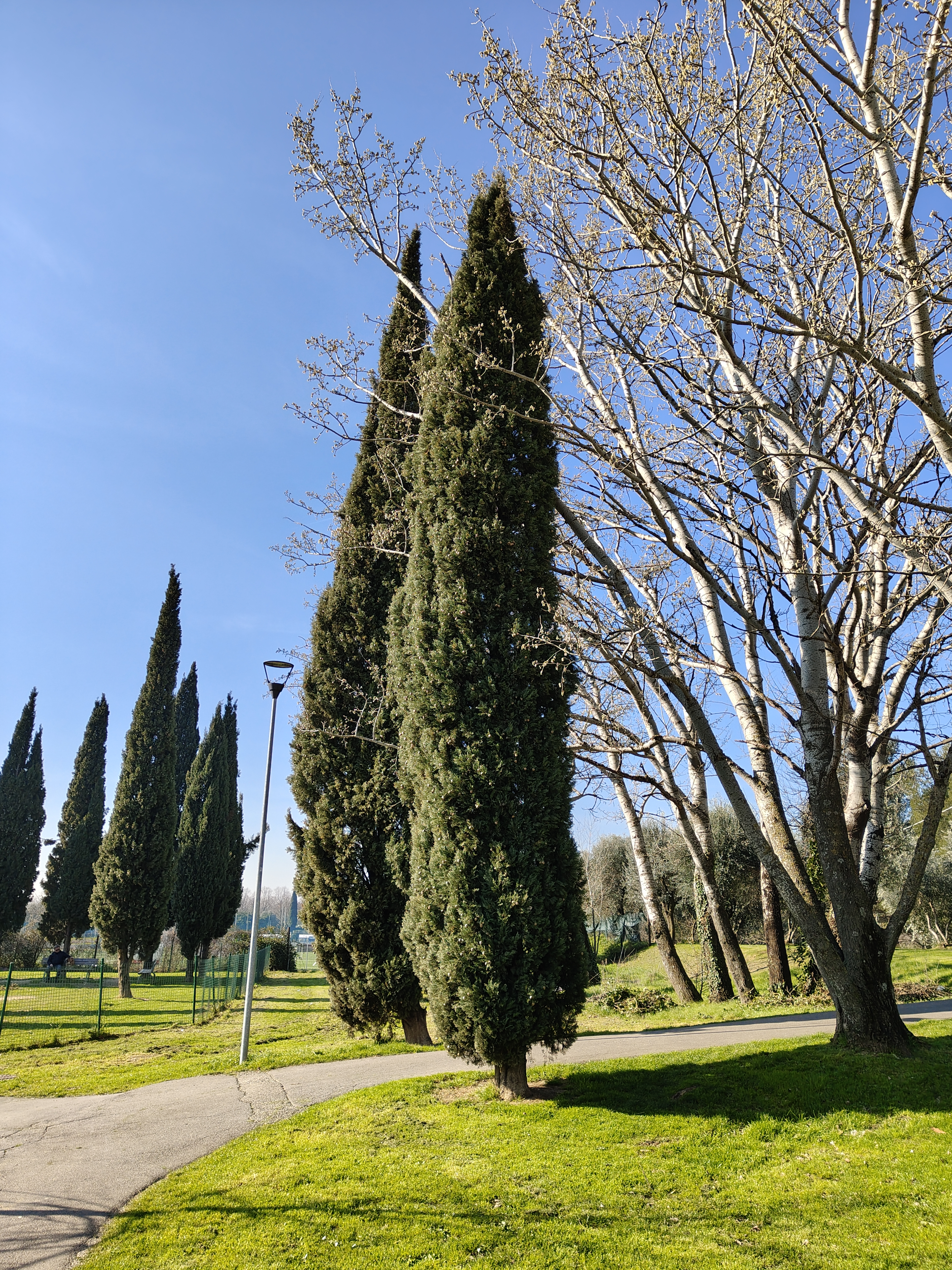 recensione realme Recensione Realme 14 Pro+ 5G