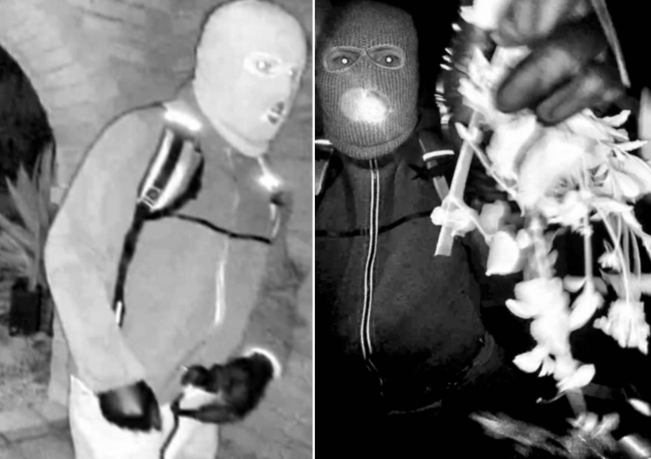 Usa, fermato un uomo per il sequestro della madre della conduttrice Savannah Guthrie