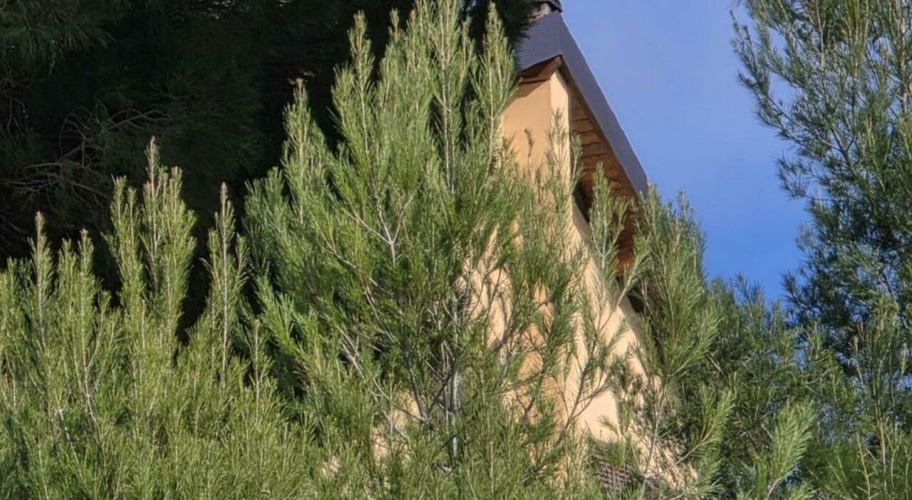 Bimba morta a Montenero, madre arrestata e dubbi sui controlli