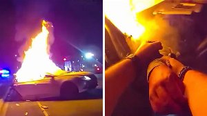 florida inseguimento