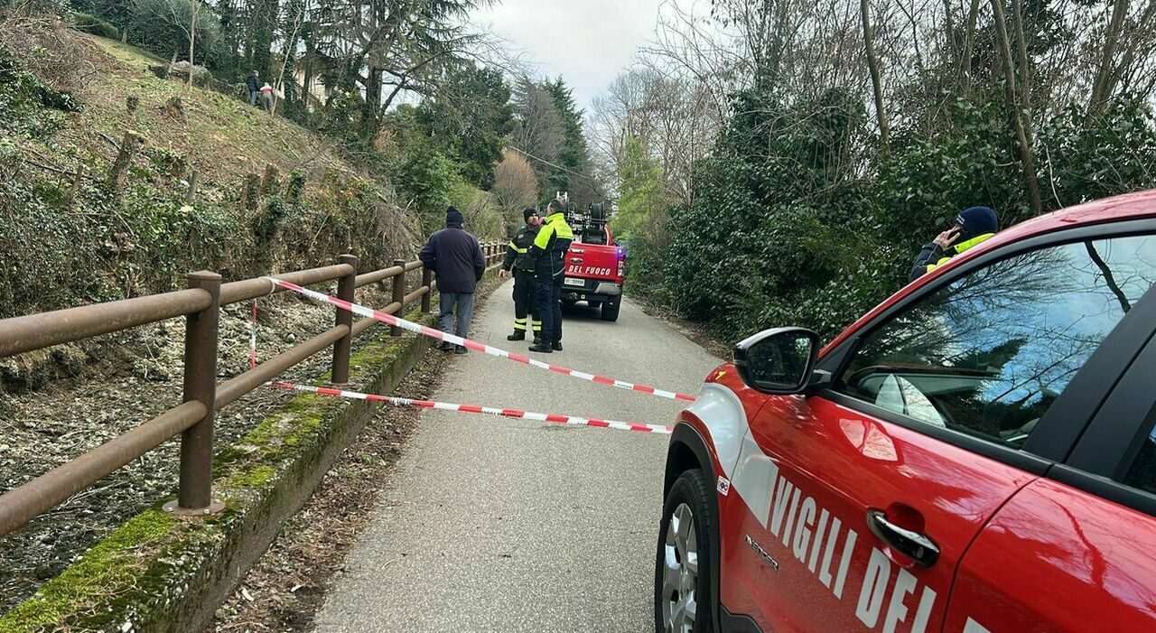 Uomo travolto da un albero a Montebelluna, morto durante lavori nel bosco