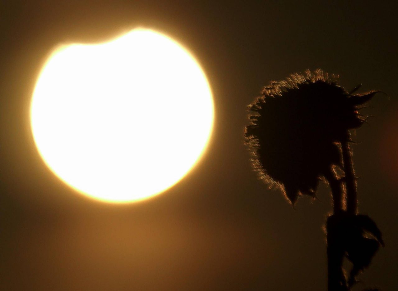 Eclissi solare del 17 febbraio 2026, dove sarà visibile e orari del fenomeno