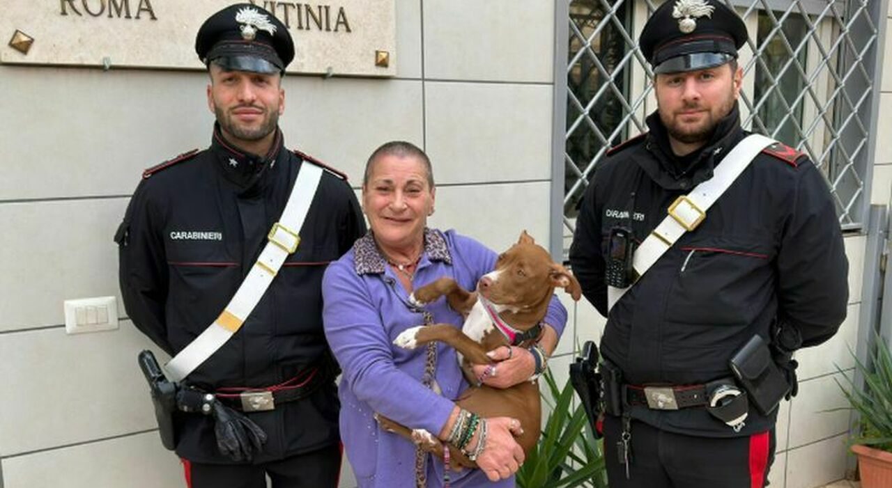 Roma, cucciola rubata e riscatto da 500 euro: denunciata una 35enne Roma, cucciola rubata e riscatto da 500 euro: denunciata una 35enne