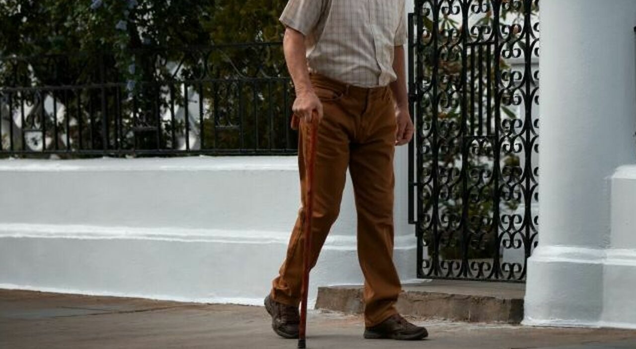 Anziano colpito da un ramo durante la potatura muore a Montecchio Emilia