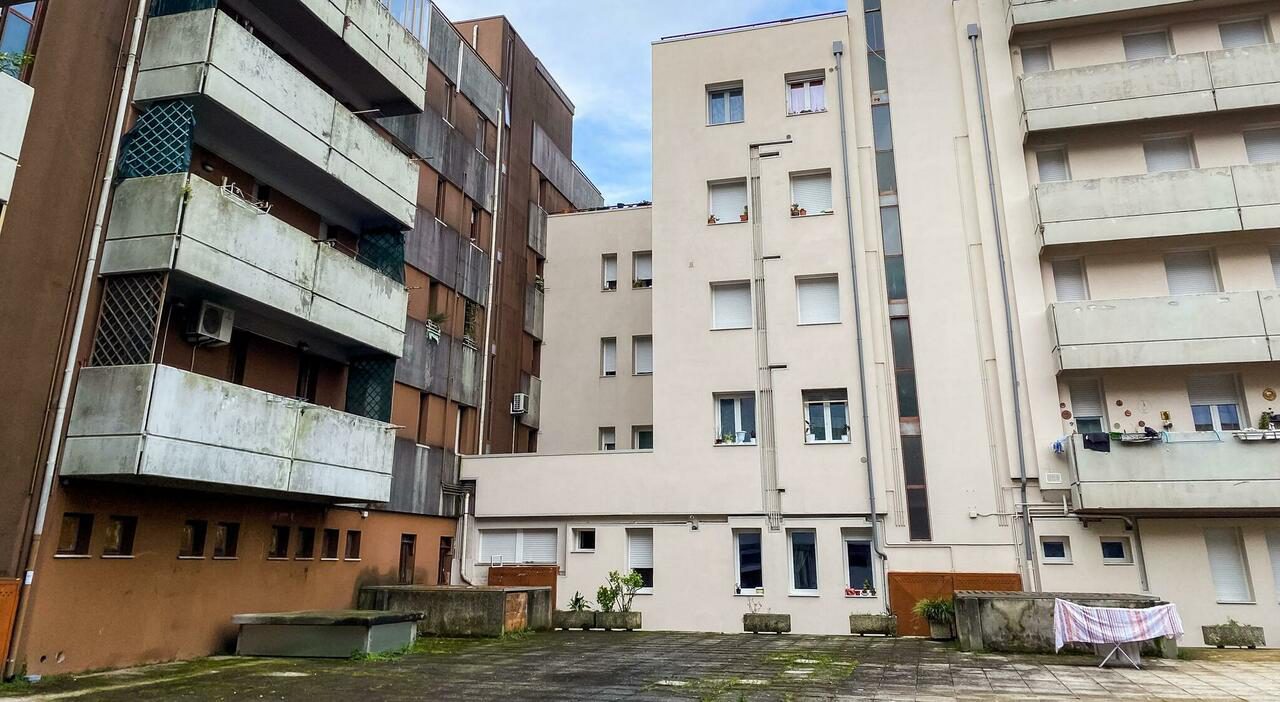 Spinea, donna aggredita e morsa da un cane dopo il rimprovero sui rifiuti Spinea, donna aggredita e morsa da un cane dopo il rimprovero sui rifiuti