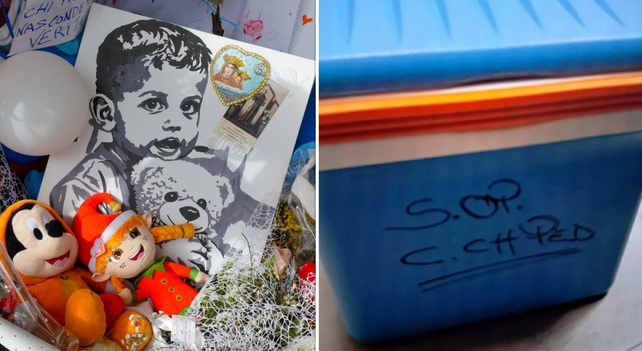 Cuore trasportato in un box frigo non idoneo, indagini sulla morte del piccolo Domenico Caliendo
