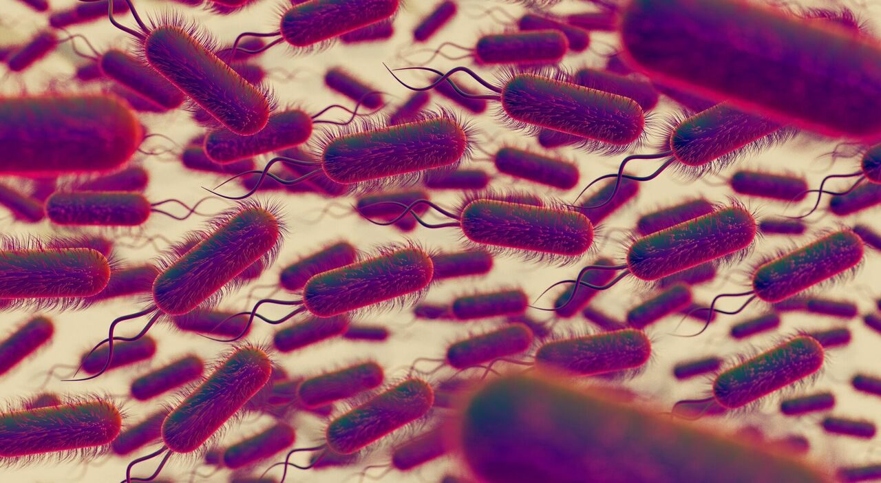 Sifilide in aumento tra i giovani, l