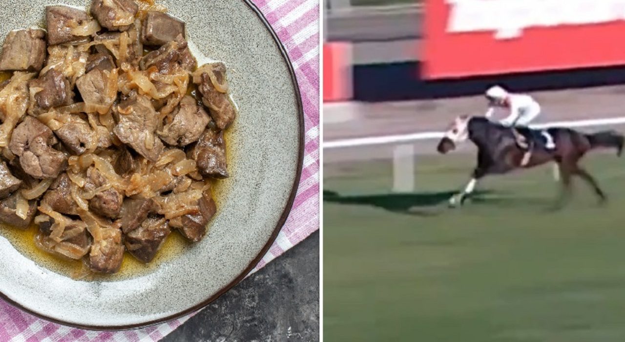 Carne di cavallo da corsa servita in mensa per poveri, il microchip rivela il destino di Smart Latch