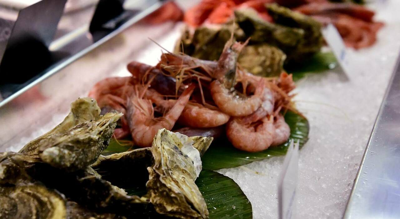 Napoli vieta frutti di mare crudi per l