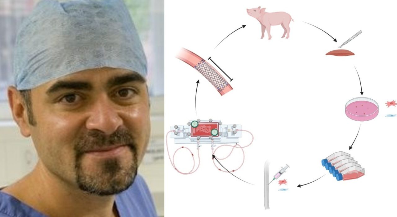 Esofago coltivato in laboratorio funziona nei test su animali