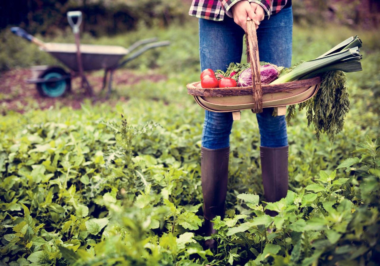 Usa, famiglia rifiuta 26 milioni per difendere la fattoria dal data center