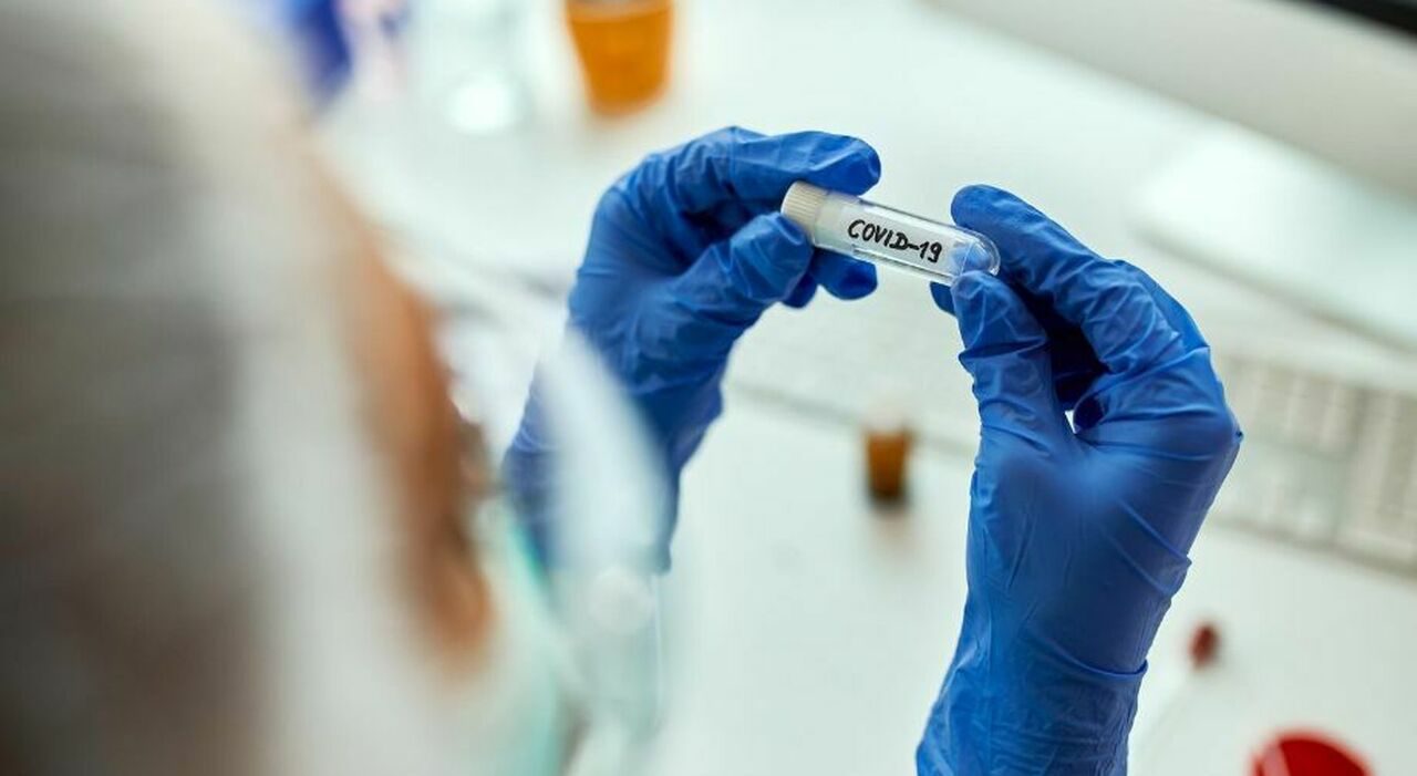 Covid, variante Cicada BA.3.2 in diffusione globale: sintomi, rischi e cosa sappiamo