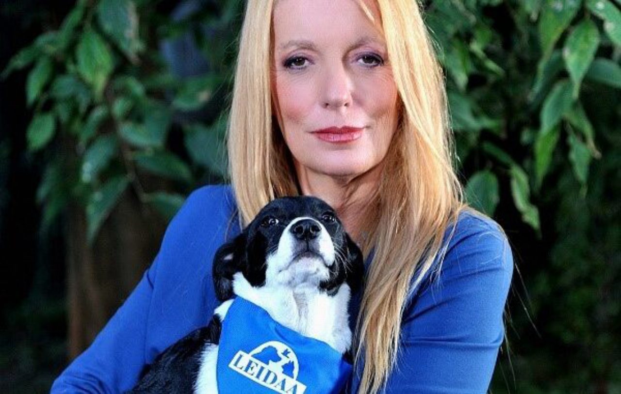 Cane trascinato da un pick-up a Longobucco, indagini sulla morte dell