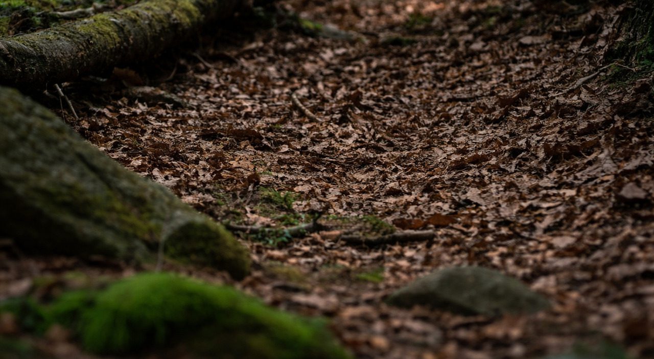 Scomparso nel 2015, identificato nel 2024 ma ancora vivo per lo Stato