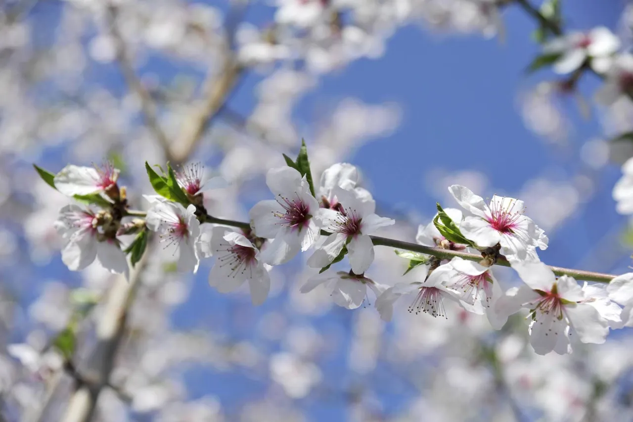 Meteo Italia, weekend di sole poi piogge e temporali da lunedì al Centro-Nord