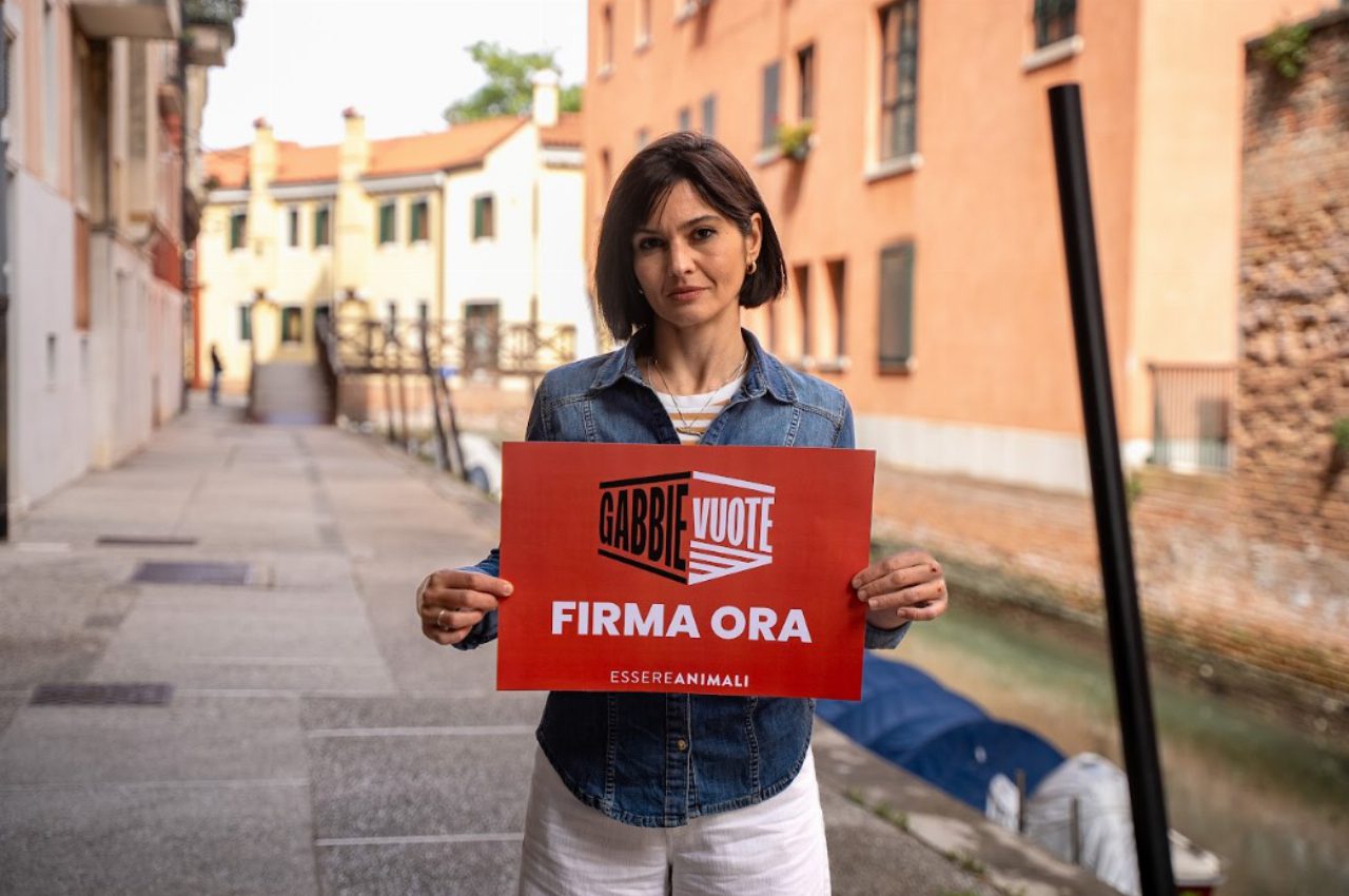 Chiara Pavan contro le gabbie negli allevamenti, la chef sostiene la legge di Essere Animali Chiara Pavan contro le gabbie negli allevamenti, la chef sostiene la legge di Essere Animali