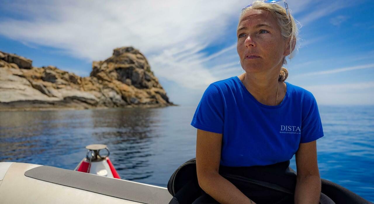 Monica Montefalcone e le ricerche nei blue hole alle Maldive, quattro studi fino a 82 metri