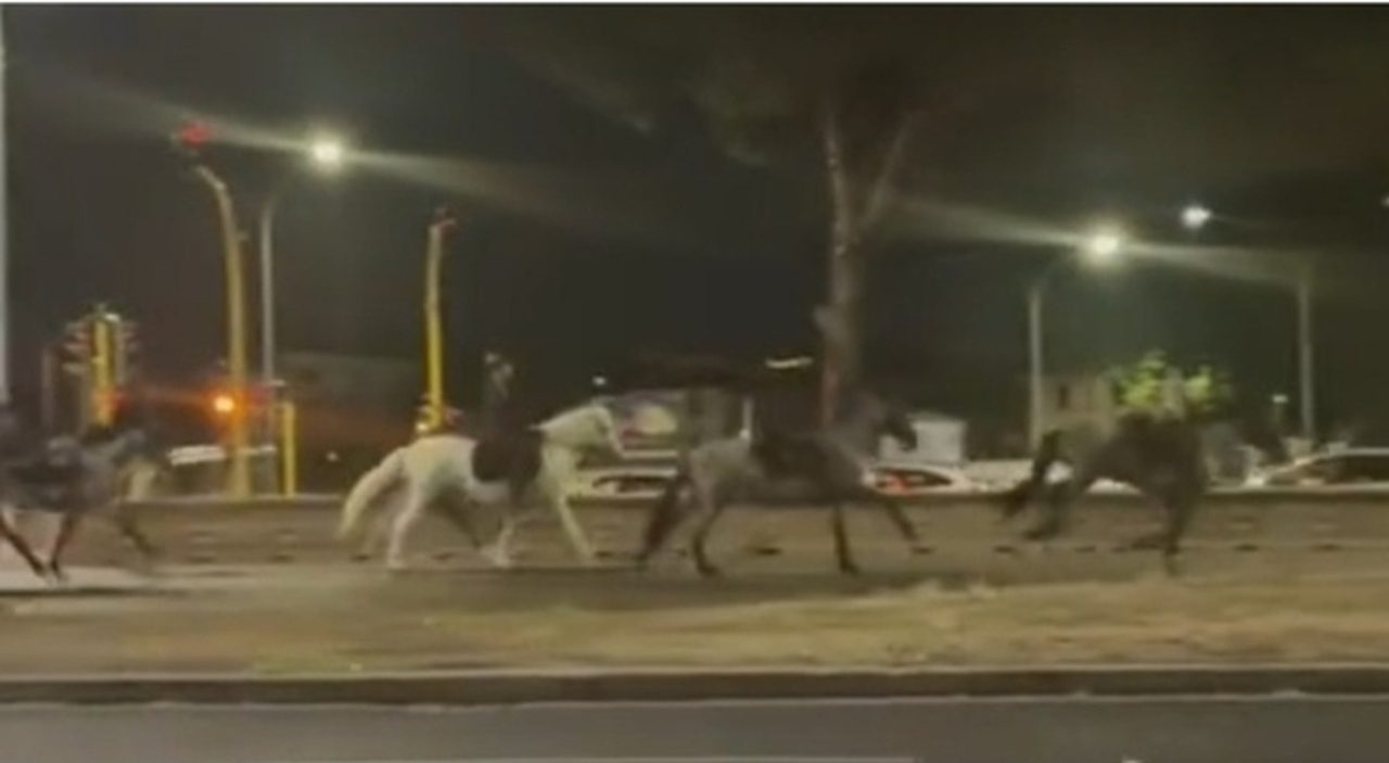 Cavalli in fuga a Roma durante le prove del 2 giugno, quattro feriti tra militari e agenti