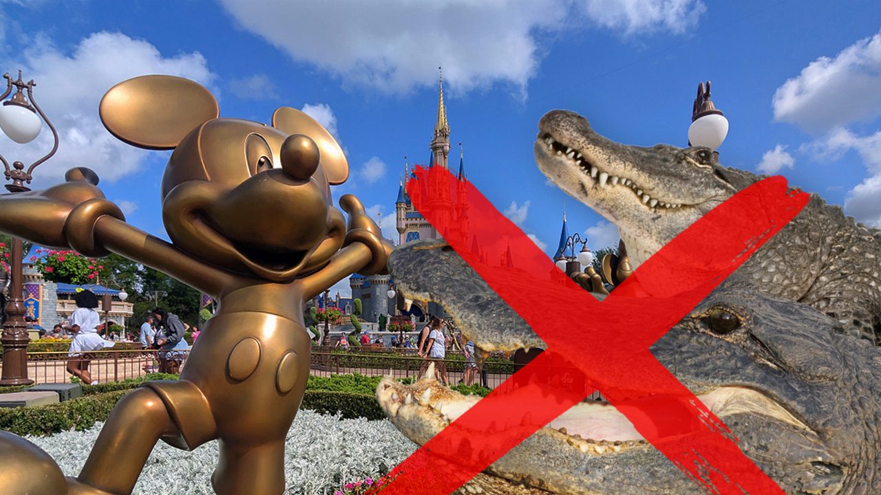 Disney World, rimossi 414 alligatori dopo la morte del piccolo Lane Graves nel resort