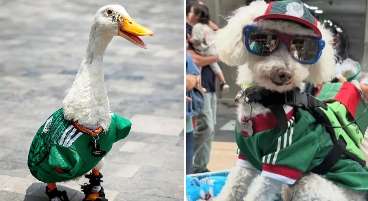 Mondiali 2026, Osito e Merlin conquistano Città del Messico tra tifosi e social