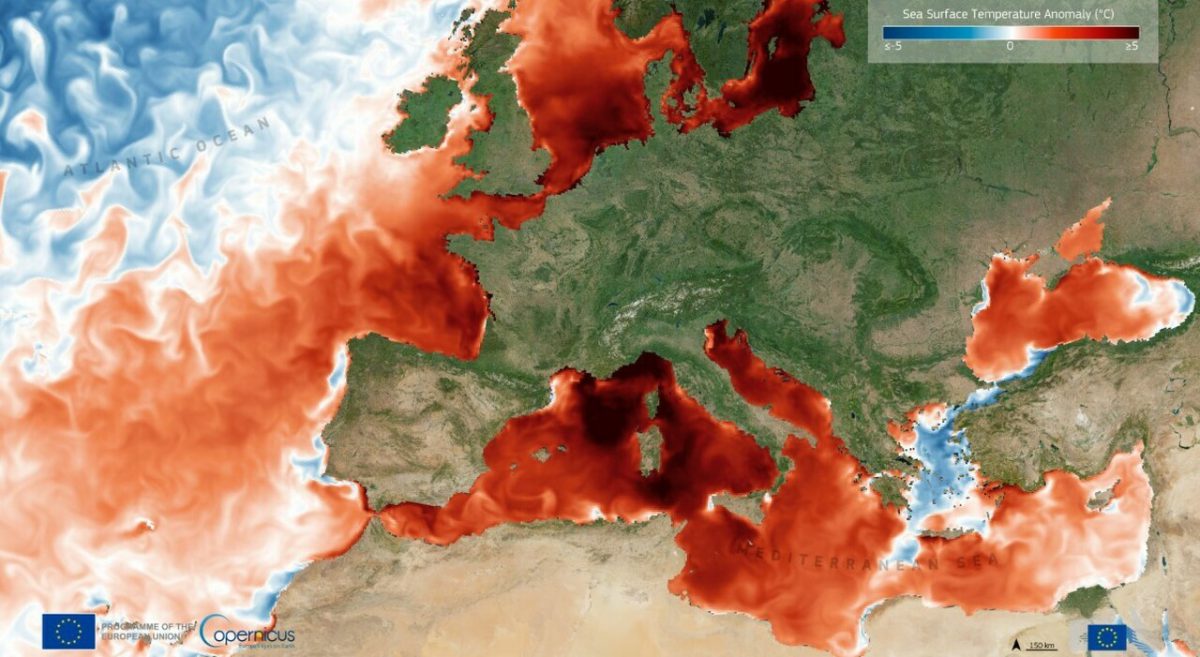 Caldo estremo, gli esperti avvertono fino a sei ondate di calore ogni estate