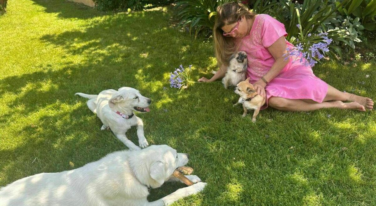 Romina Power adotta due cuccioli salvati dal maltrattamento, continua la ricerca di una casa per gli altri cani