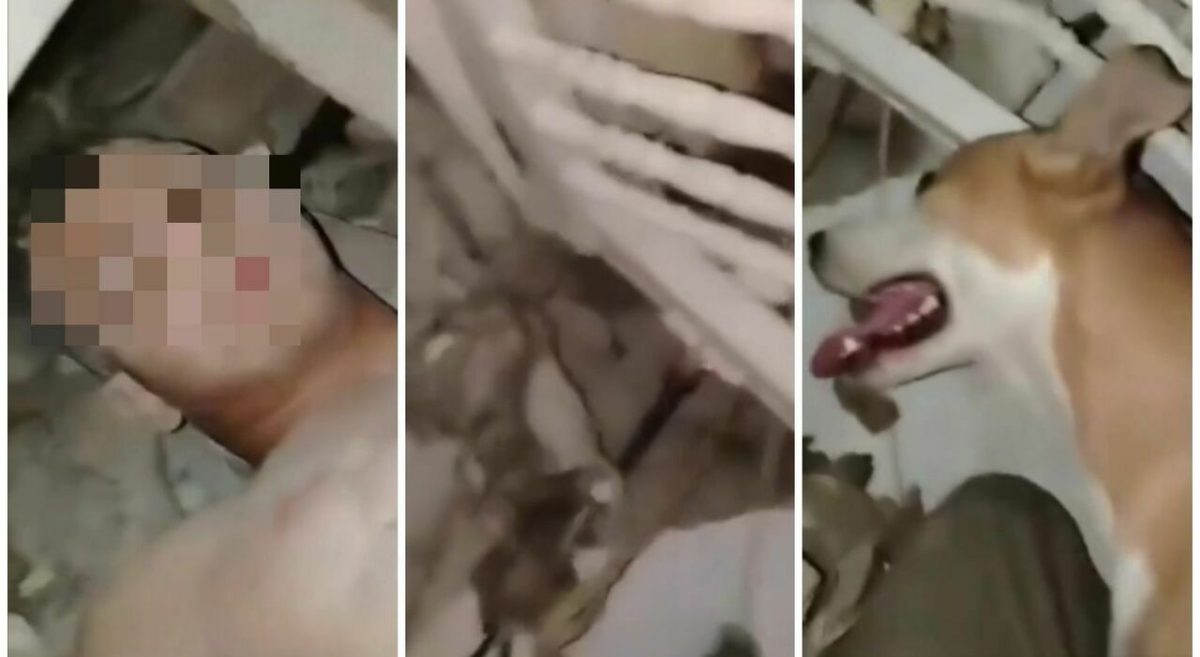 Terremoto in Venezuela, ragazzo salvato dopo 14 giorni insieme al suo cane