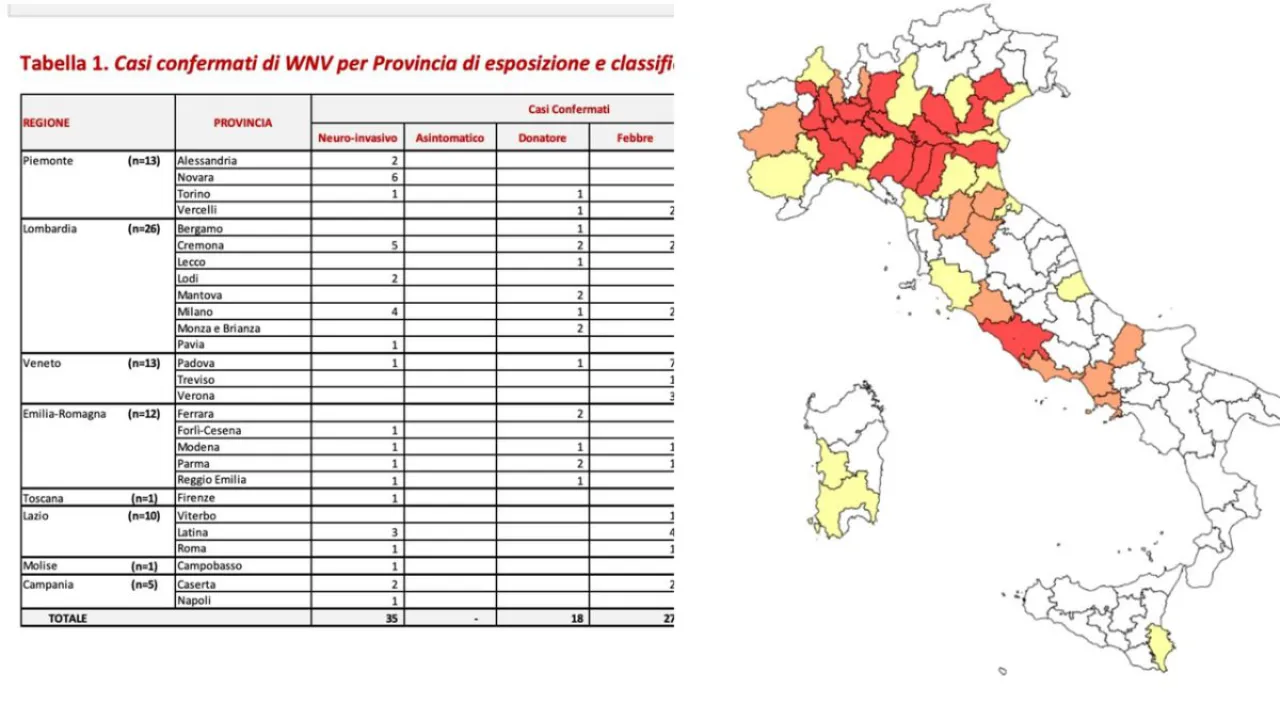 West Nile in Italia, 84 casi e due morti: il virus circola in 47 province