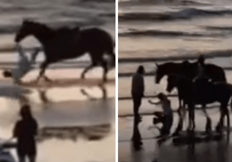Belen Rodriguez cade da cavallo, paura con Pongo ma nessuna conseguenza Belen Rodriguez cade da cavallo, paura con Pongo ma nessuna conseguenza