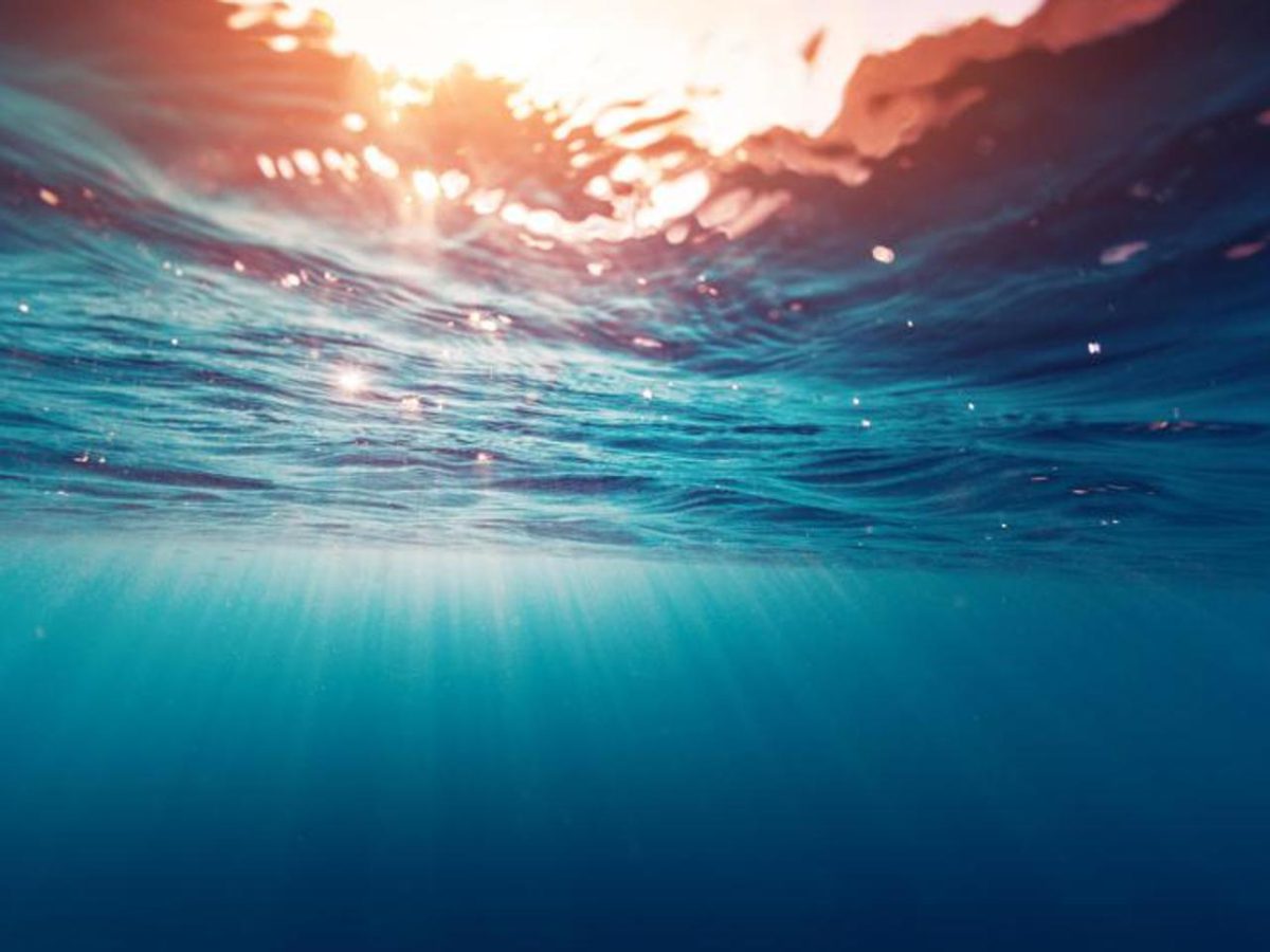 Oceani, nuovo record globale: temperatura del mare a 21,1 °C il 22 agosto 2026