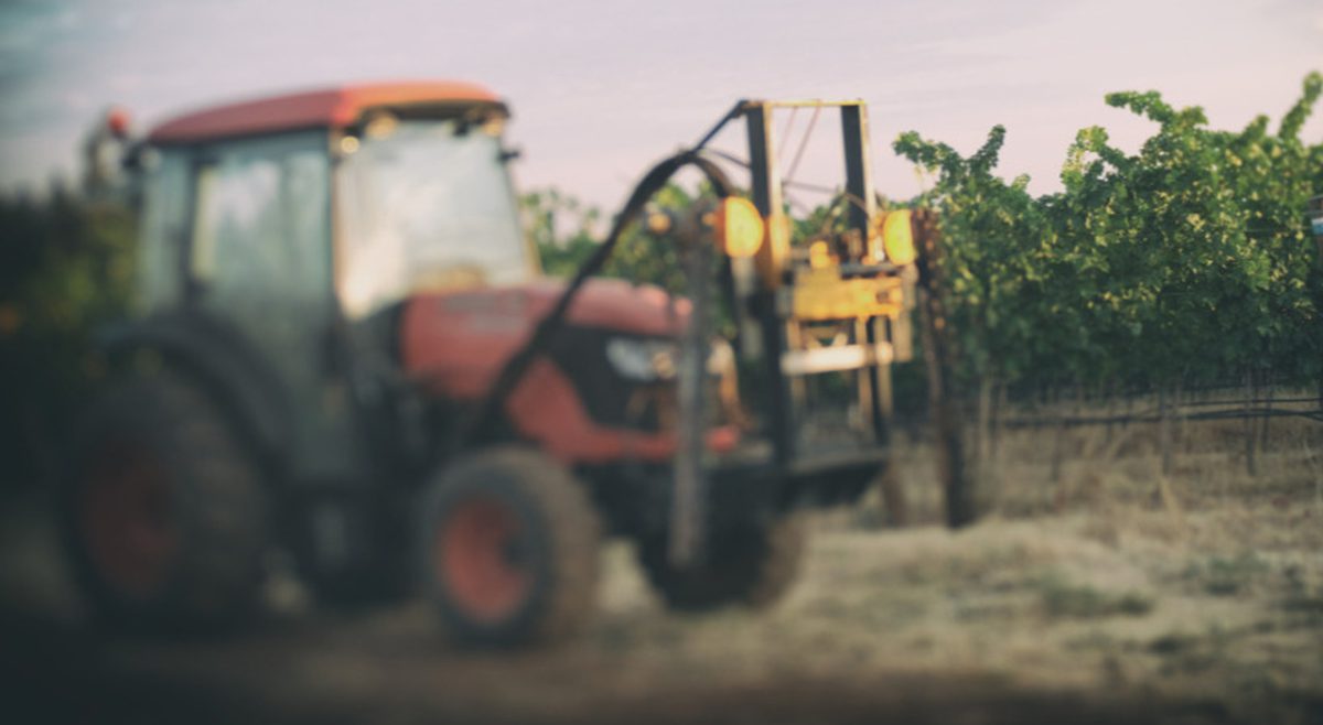 Cazzano di Tramigna, muore Gino Magnabosco: trattore si ribalta nei vigneti