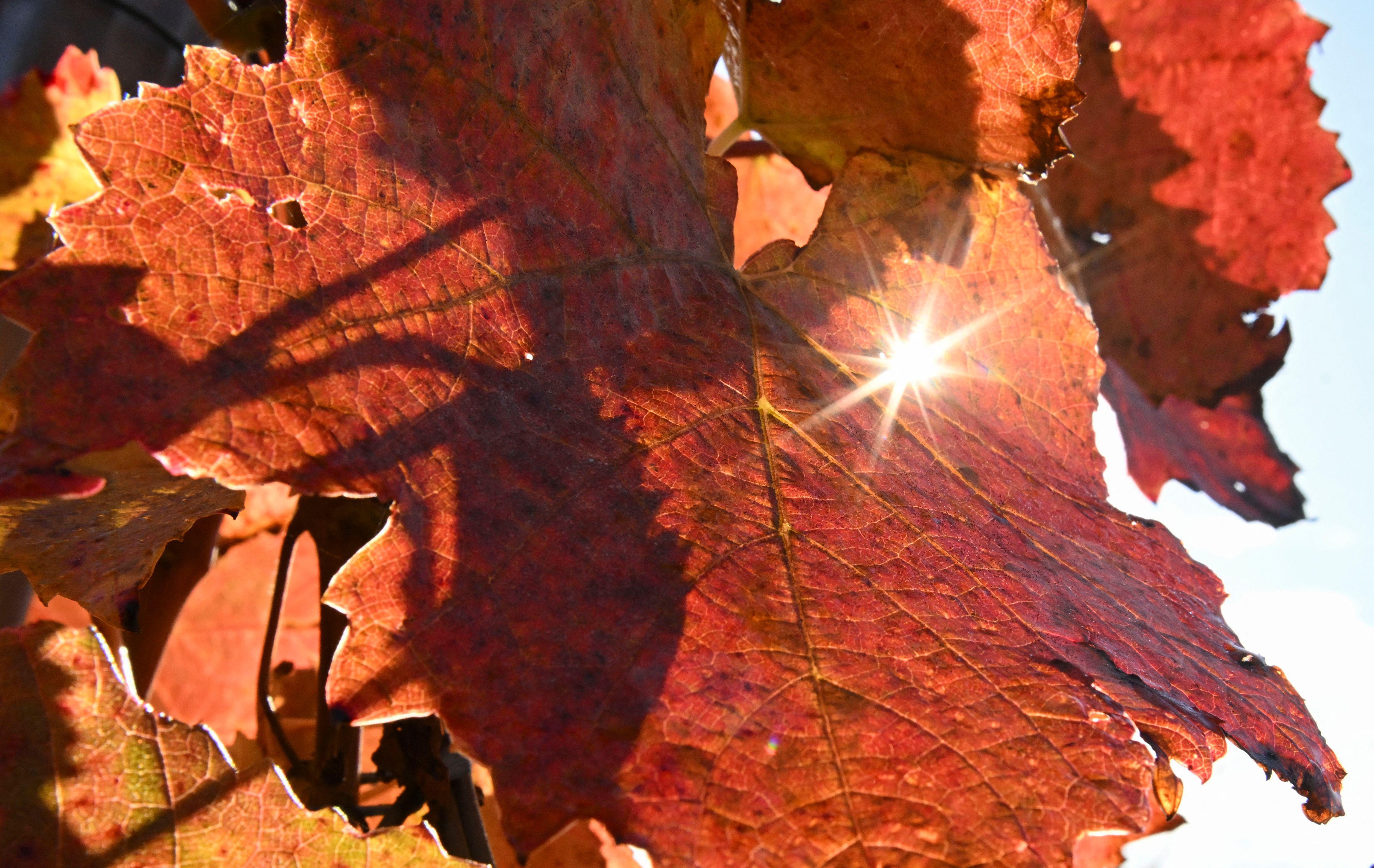 previsioni meteo previsioni meteo