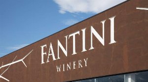 fantini rilevata