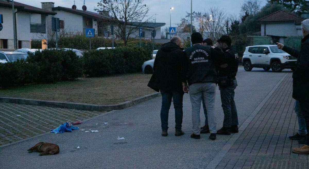 Teresa Sartor trovata ferita accanto al bassotto morto a Pordenone: indagini su un possibile pirata della strada Teresa Sartor trovata ferita accanto al bassotto morto a Pordenone: indagini su un possibile pirata della strada
