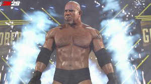goldberg nikki