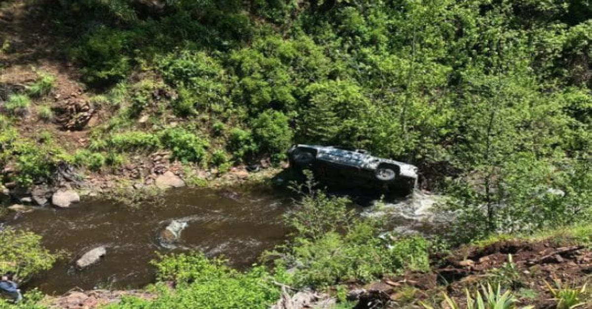 oregon cane oregon cane