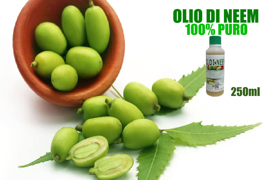 Olio di Neem: come si usa e a cosa serve