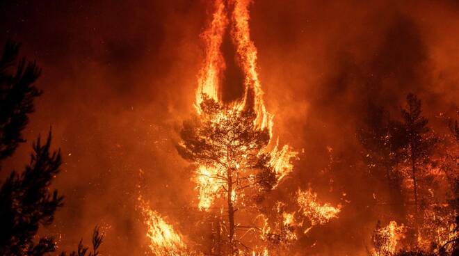 Record incendi nel 2021 : bruciati oltre 140mila ettari di bosco