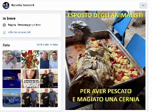 vannacci provoca