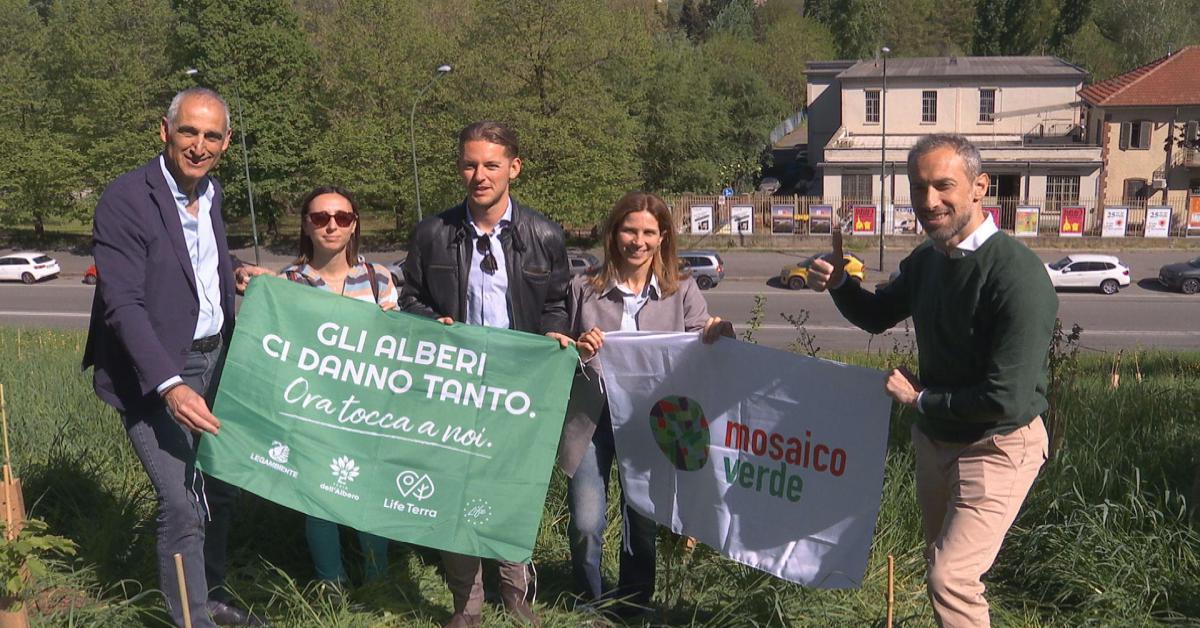 Sostenibilità / forestazione urbana - 750 nuove piante nel quartiere Parella di Torino