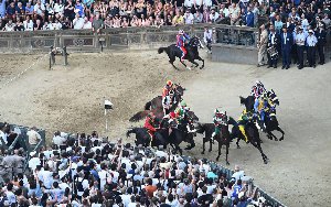 palio siena palio siena