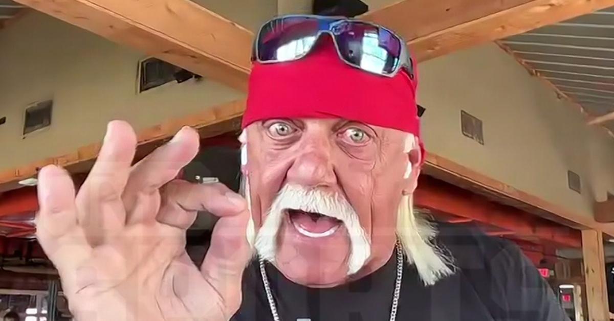 hulk hogan hulk hogan