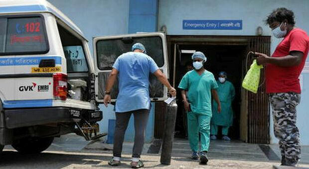 india famiglia india famiglia