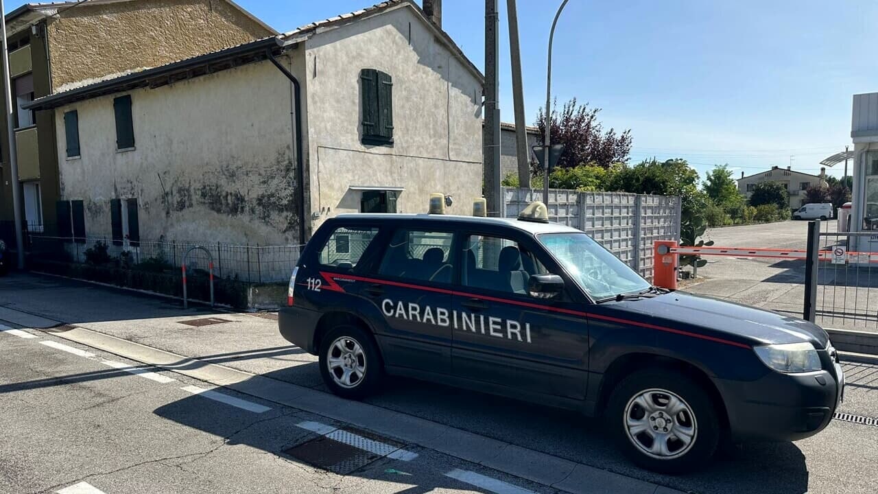treviso anziana treviso anziana