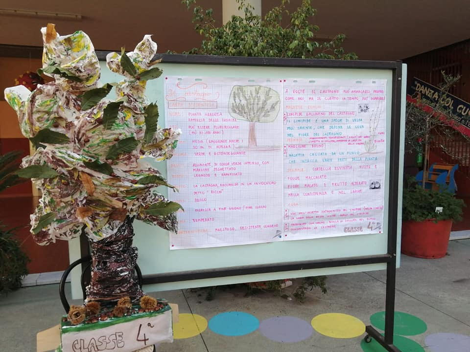 studenti ragazzini studenti ragazzini